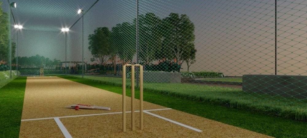 Empire Cricket Pitch