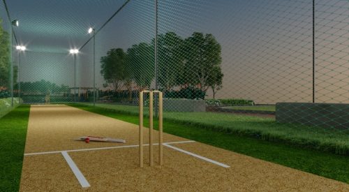 Empire Cricket Pitch