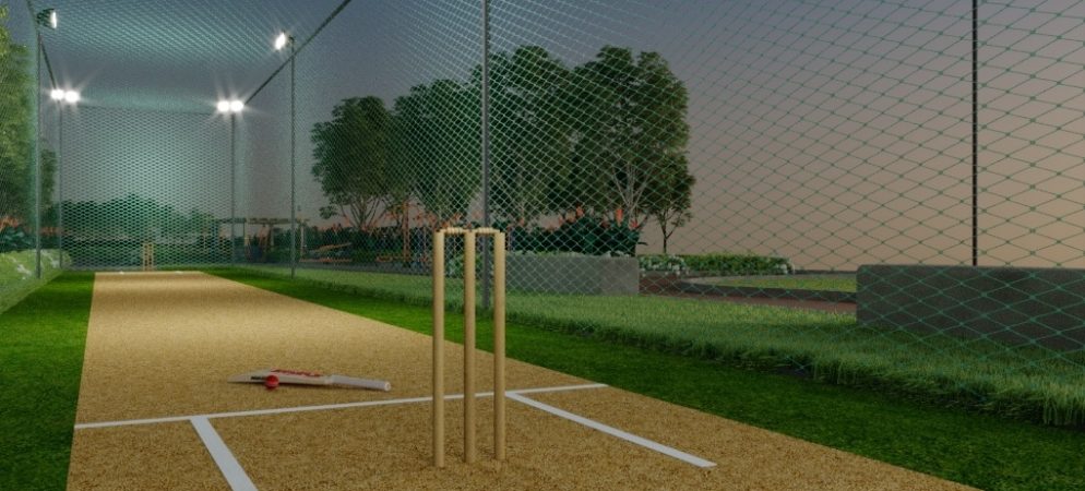 Empire Cricket Pitch