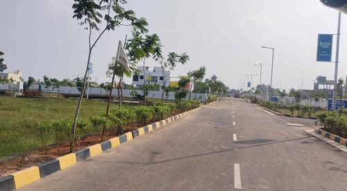 Highland Plot View 5