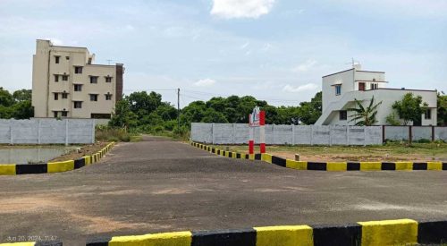 Mother Land Elevation 2