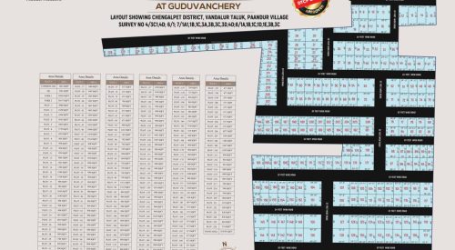 Mother Land Layout Plan