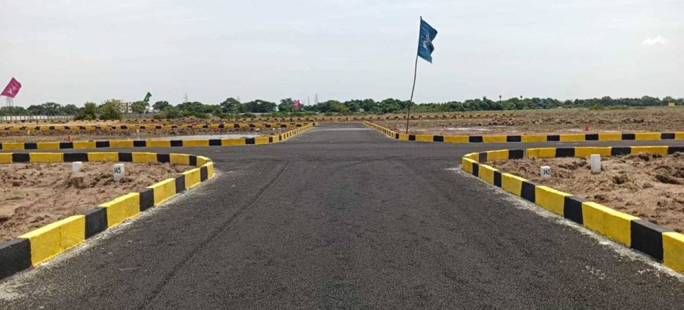 Mother Land Plot 2