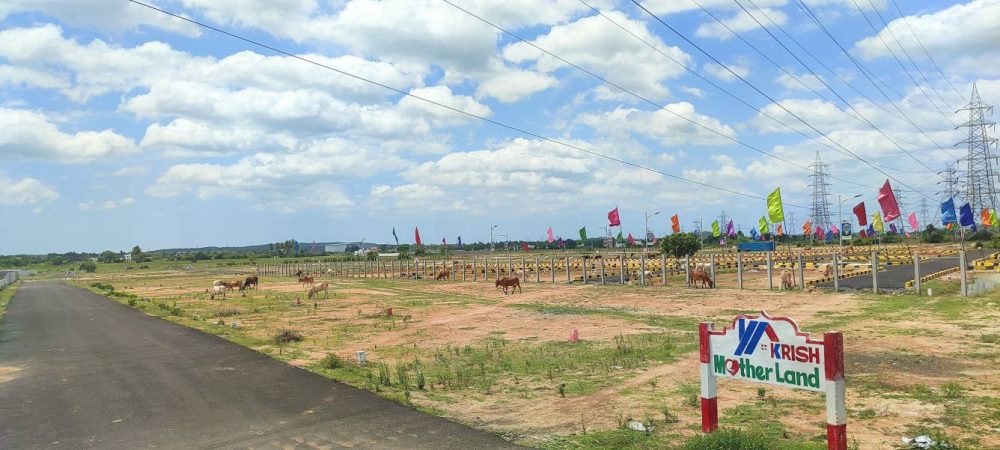 Mother Land Plot View