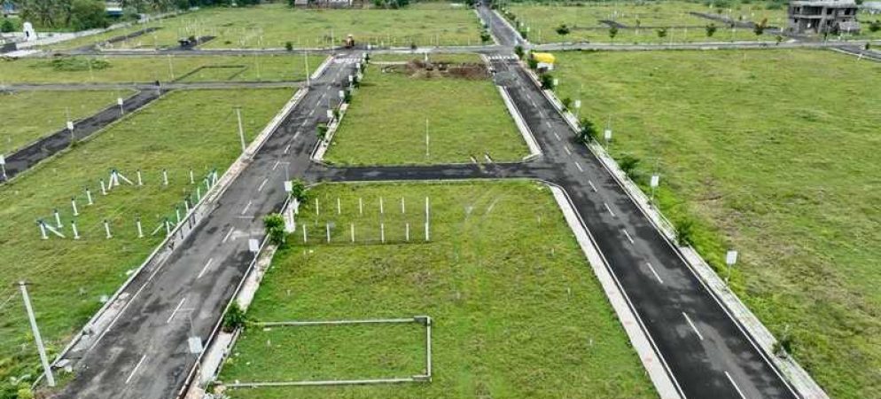 Nemra plot view