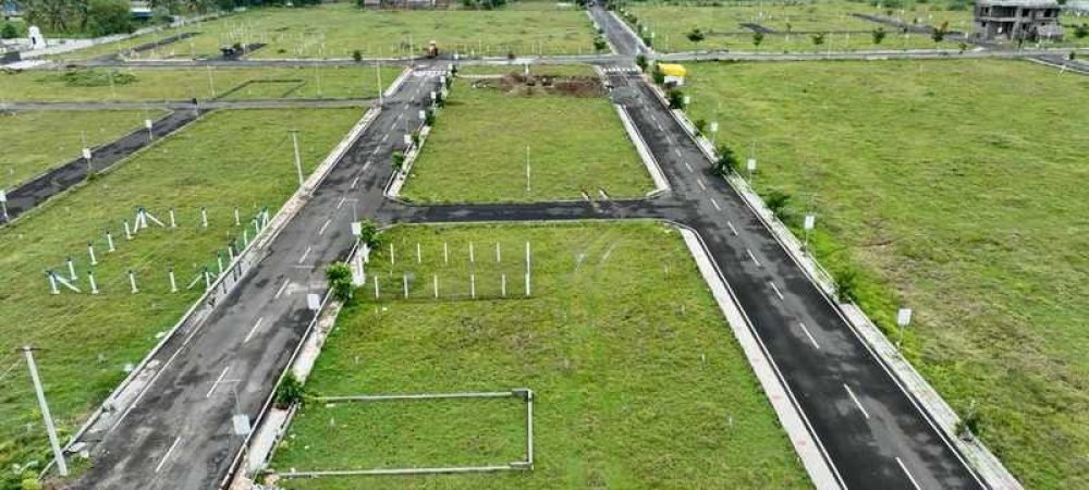 Nemra plot view