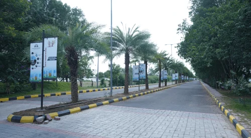 New Vision Township plots