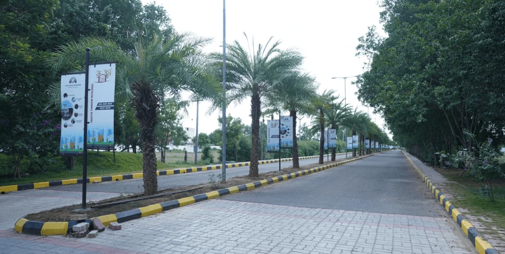 New Vision Township plots