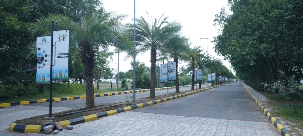 New Vision Township plots