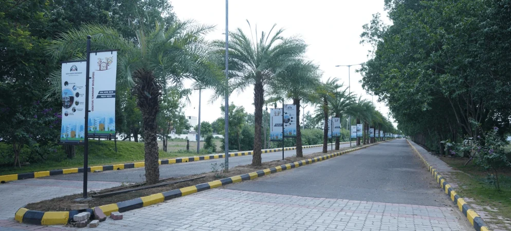 New Vision Township plots
