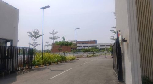 Paradise Plots