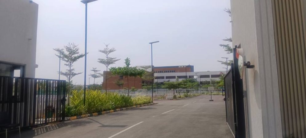 Paradise Plots