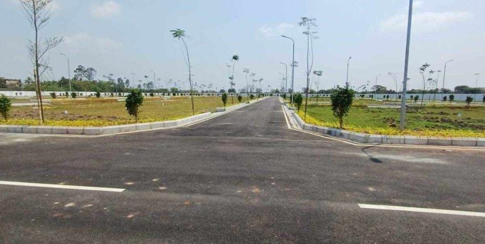 RWD Vista Marbella Plot View 3