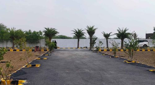 WhatsApp Image 2024-02-13 at 21.47.10_4e5ef8ee