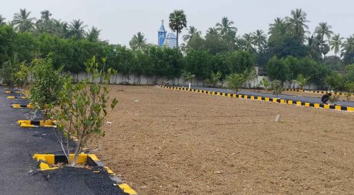 WhatsApp Image 2024-02-13 at 21.47.12_4ff13b8a