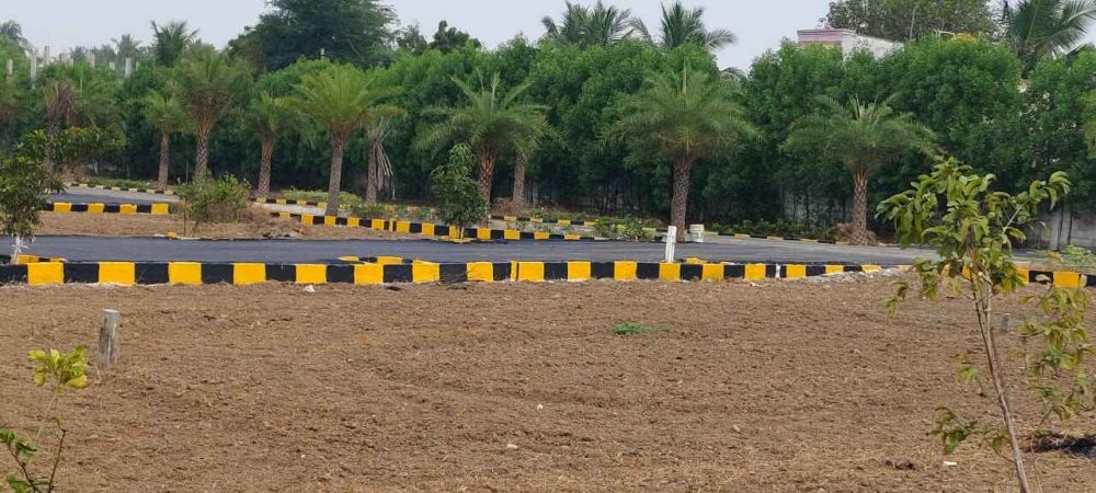 WhatsApp Image 2024-02-13 at 21.47.13_b7ef30be