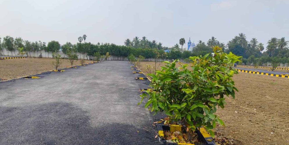 WhatsApp Image 2024-02-13 at 21.47.15_77e1dfca