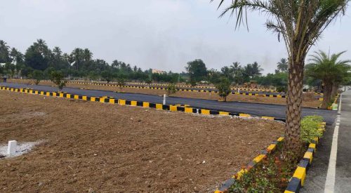 WhatsApp Image 2024-02-13 at 21.47.16_89b88edc