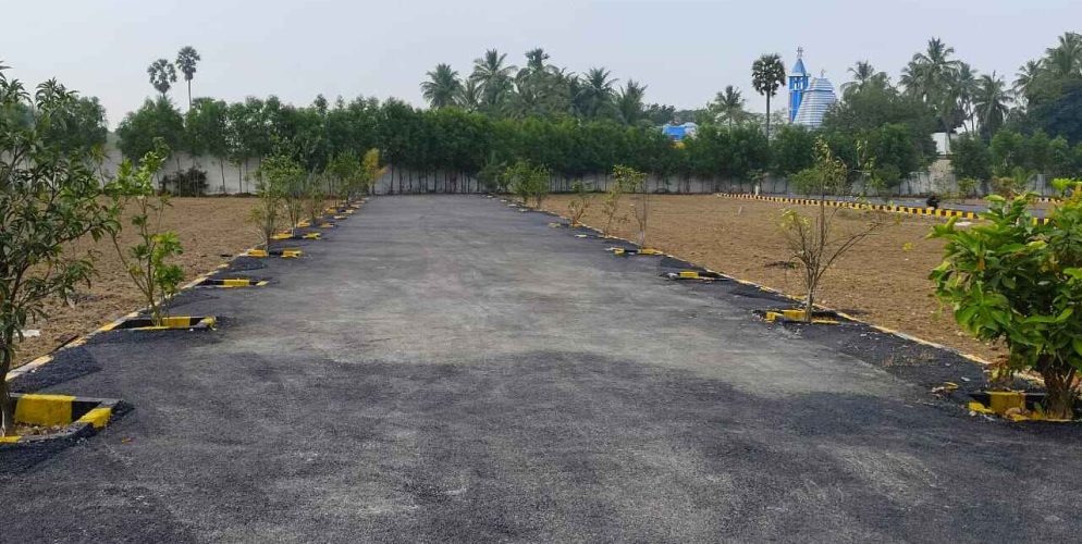 WhatsApp Image 2024-02-13 at 21.47.19_bd265b03