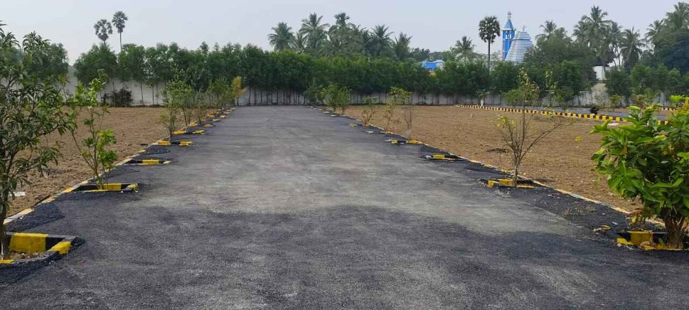 WhatsApp Image 2024-02-13 at 21.47.19_bd265b03