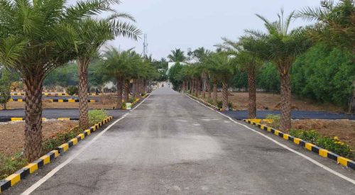 WhatsApp Image 2024-02-13 at 21.47.20_70484cdf