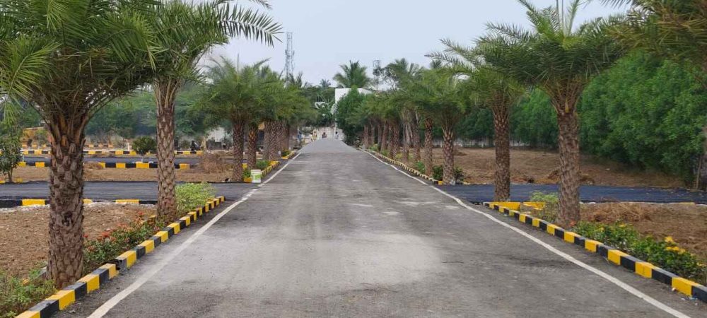 WhatsApp Image 2024-02-13 at 21.47.20_70484cdf