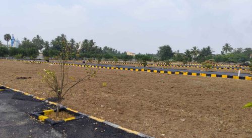 WhatsApp Image 2024-02-13 at 21.47.24_7d01209e