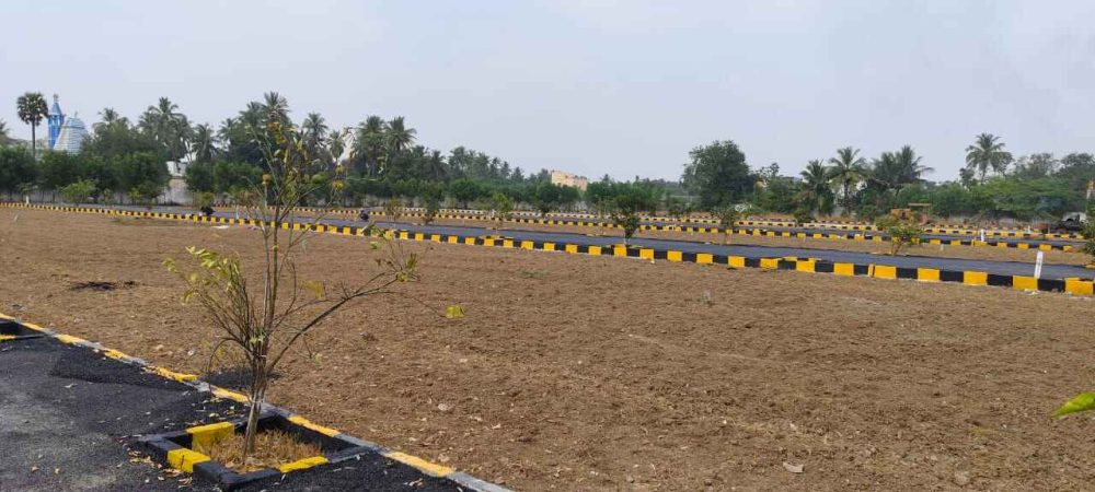 WhatsApp Image 2024-02-13 at 21.47.24_7d01209e