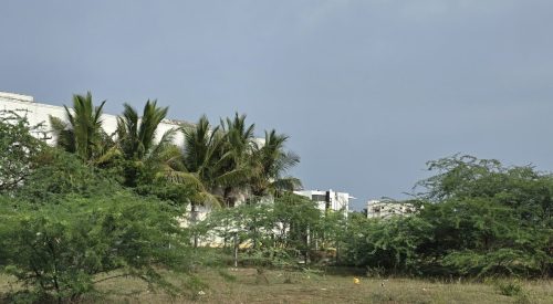 WhatsApp-Image-2025-06-26-at-23.31.31_85a371db