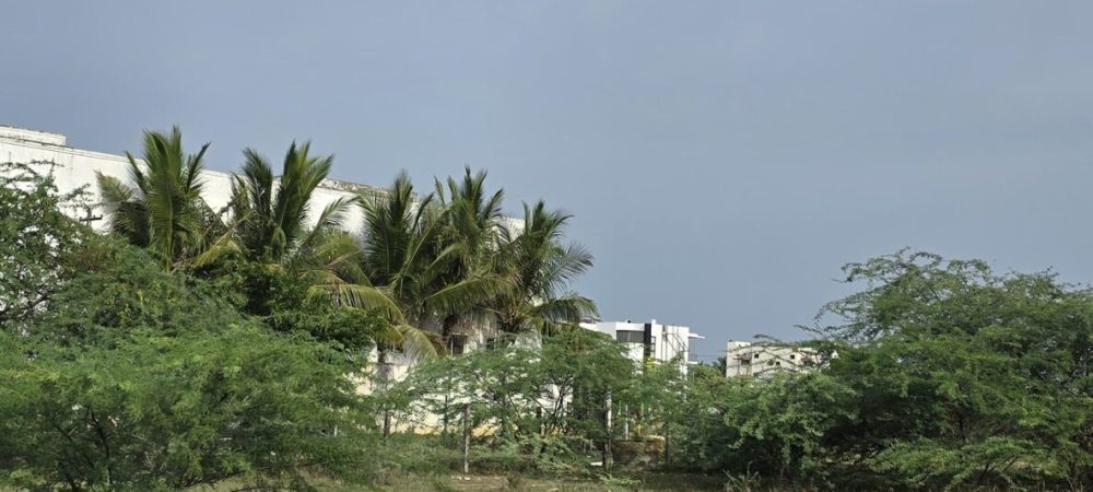 WhatsApp-Image-2025-06-26-at-23.31.31_85a371db