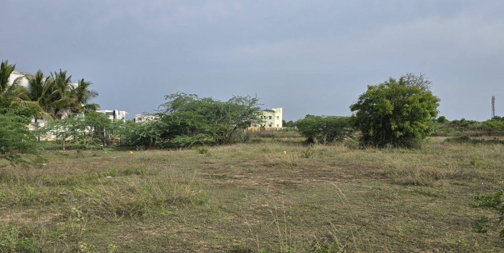 WhatsApp-Image-2025-06-26-at-23.31.32_f681c4d2