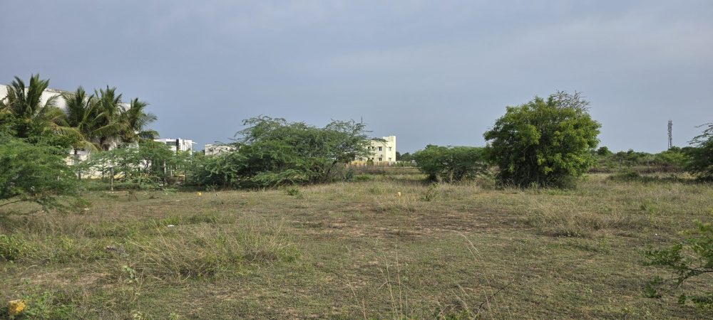 WhatsApp-Image-2025-06-26-at-23.31.32_f681c4d2