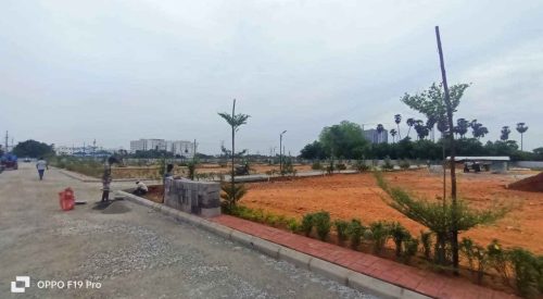 amber county plot view 2