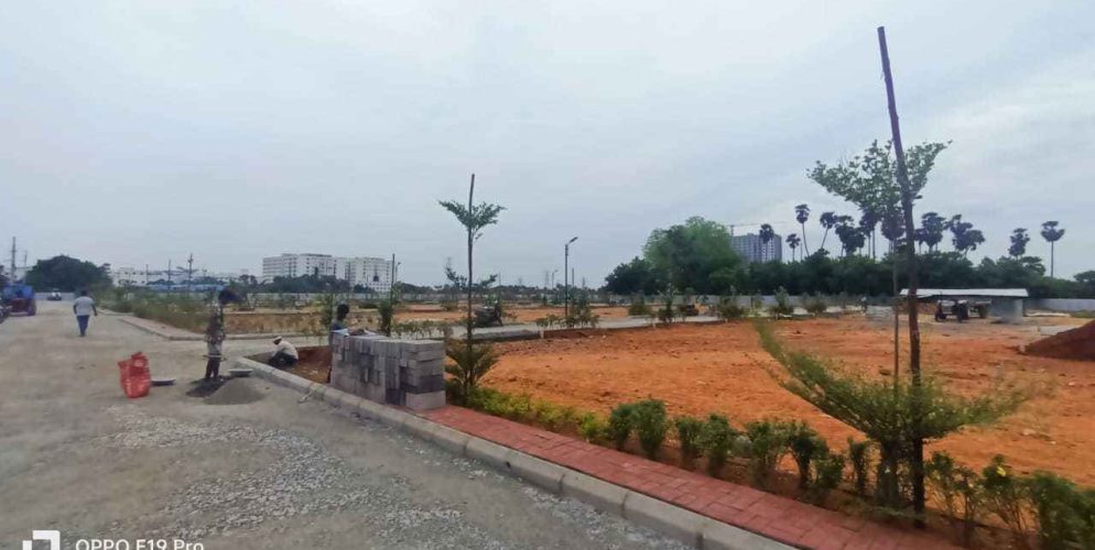 amber county plot view 2