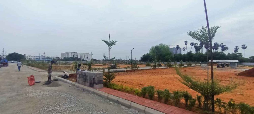 amber county plot view 2