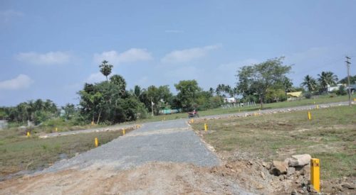avenu plot