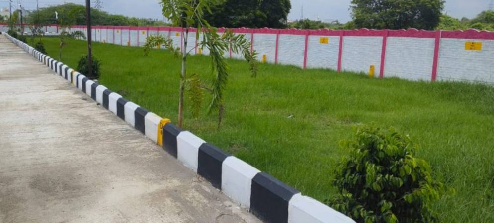 avm-garden-plot 2