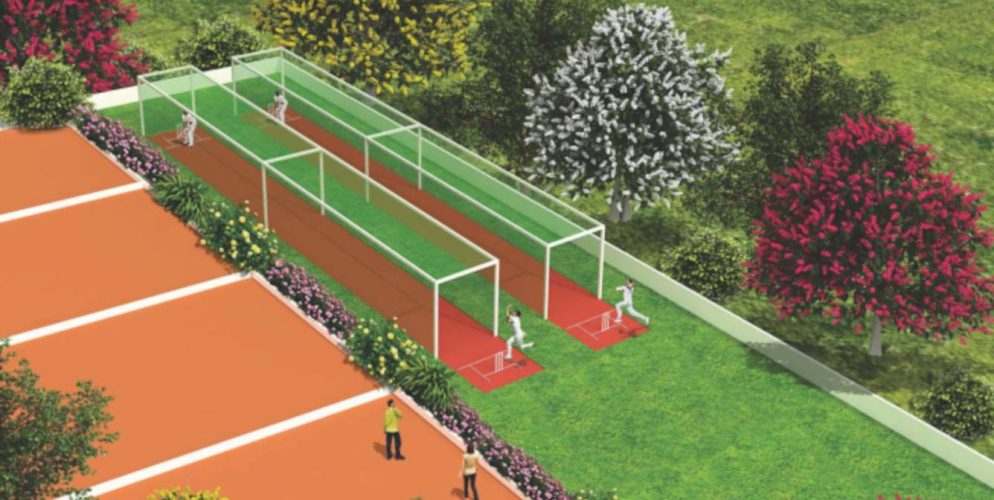blissful garden cricket pitch