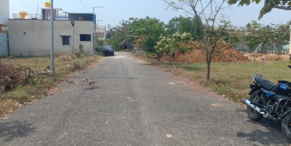 blooming garden plot 1