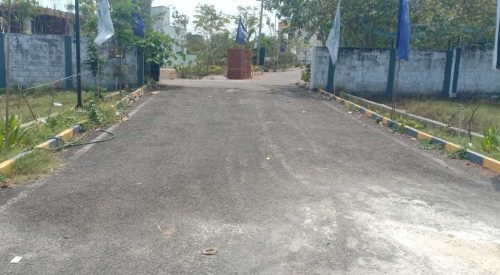 blooming garden plot 11