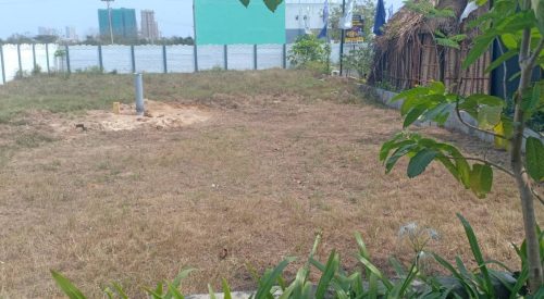 blooming garden plot 13