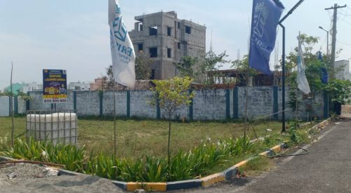 blooming garden plot 14