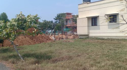 blooming garden plot 2