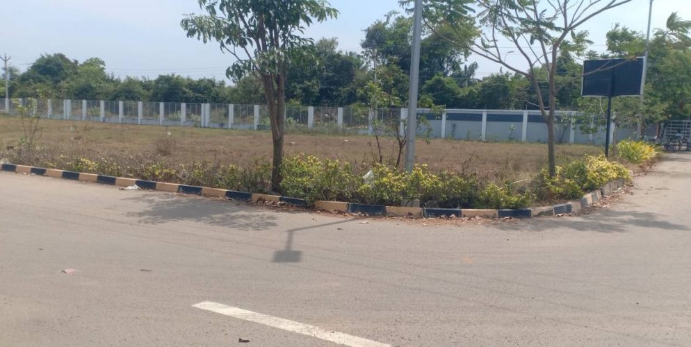 blooming garden plot 3