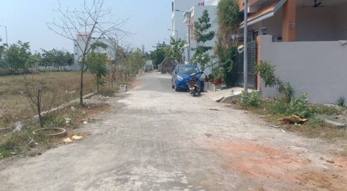 blooming garden plot 6