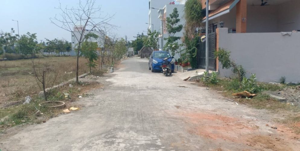 blooming garden plot 6