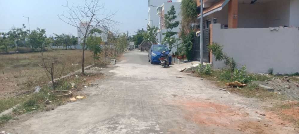 blooming garden plot 6