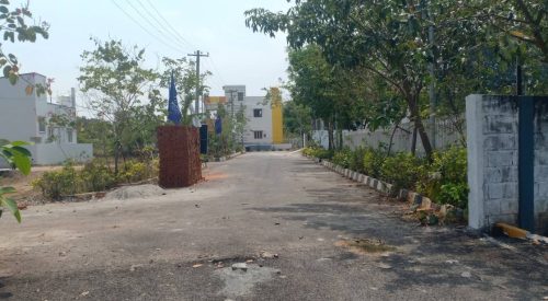 blooming garden plot 8