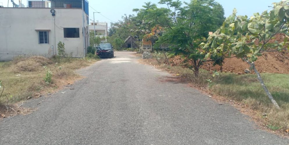 blooming garden plot 9