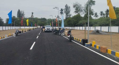 orchid-garden-plot-161399963